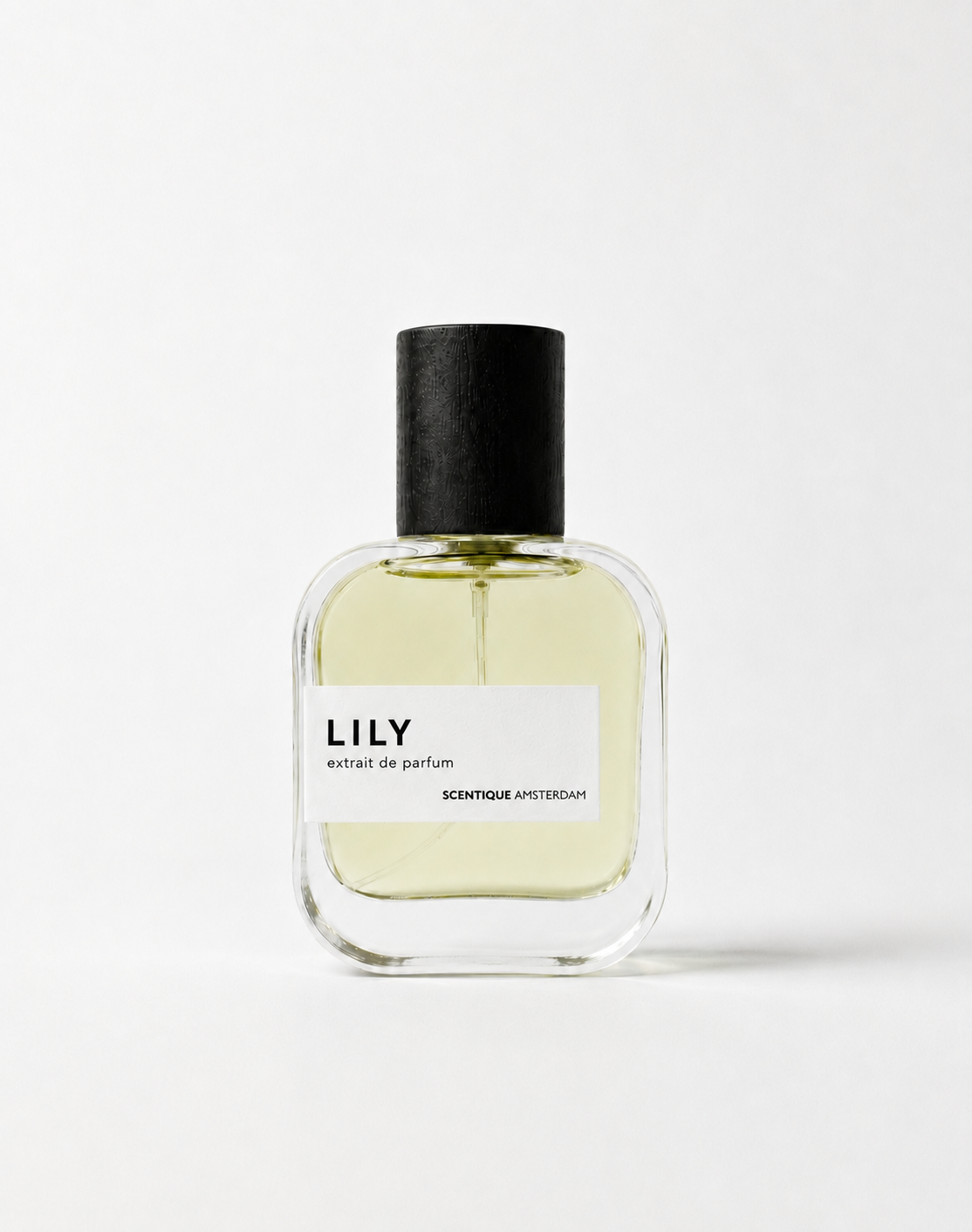 Lily 50 ml — damesparfum geïnspireerd op Diptyque Do Son, met tuberoos, oranjebloesem en witte muskus